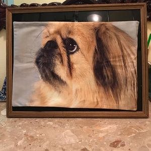 New pekinese pillow case